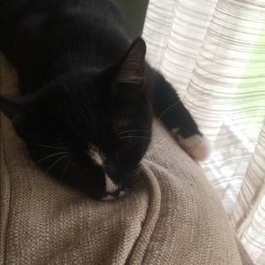 Meet your Posher, Julie